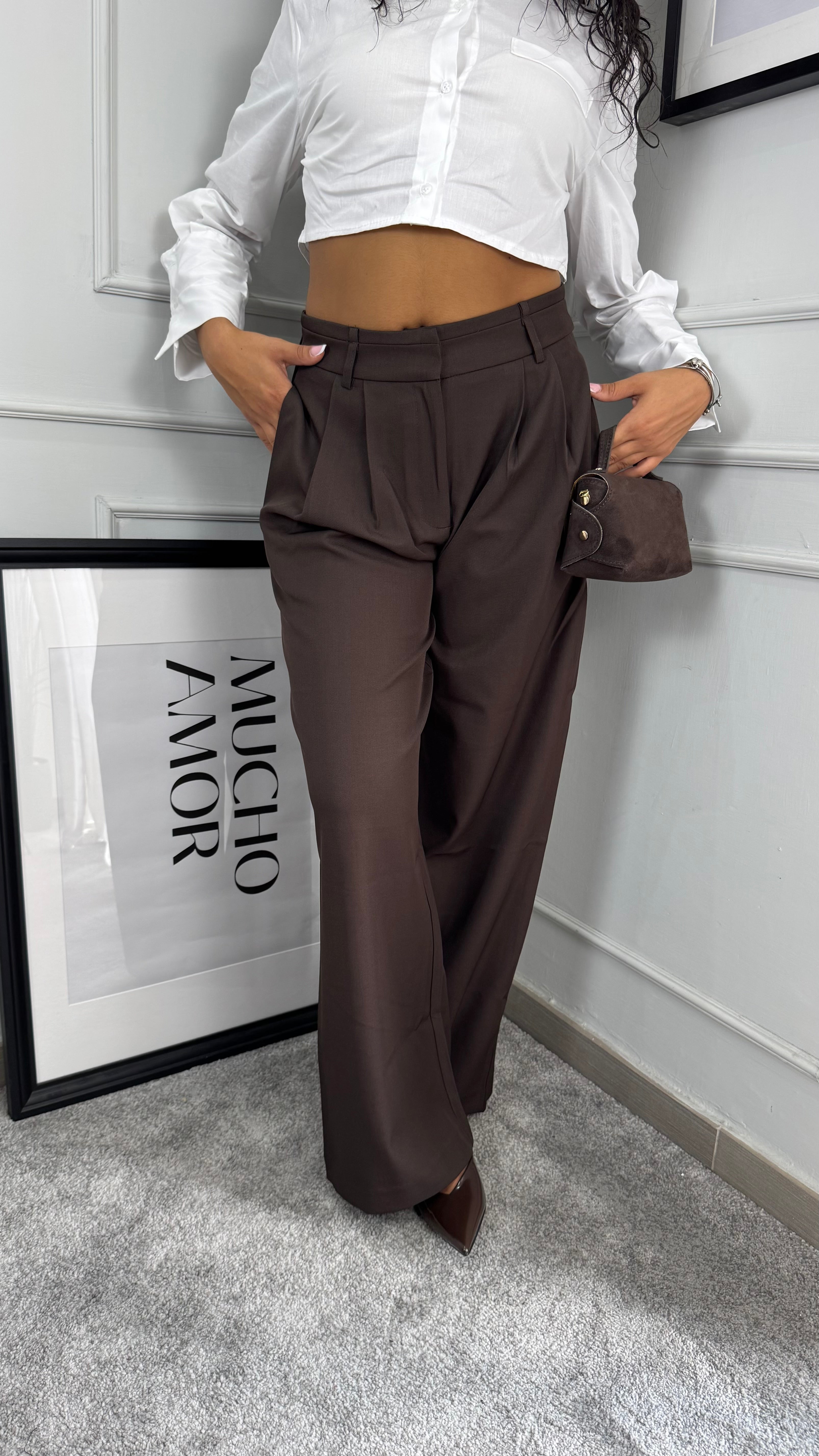 Pantaloni con pence brown